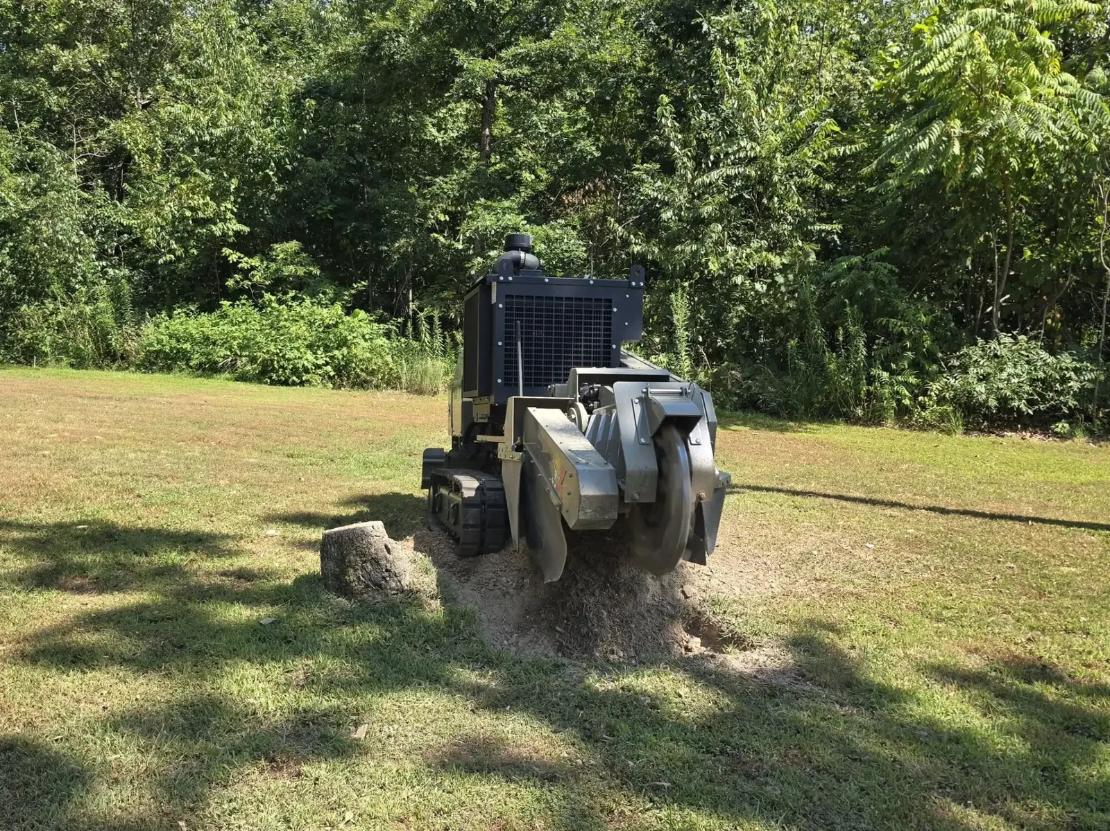 L&M stump grinder working on a stump in a tree-lined lawn
