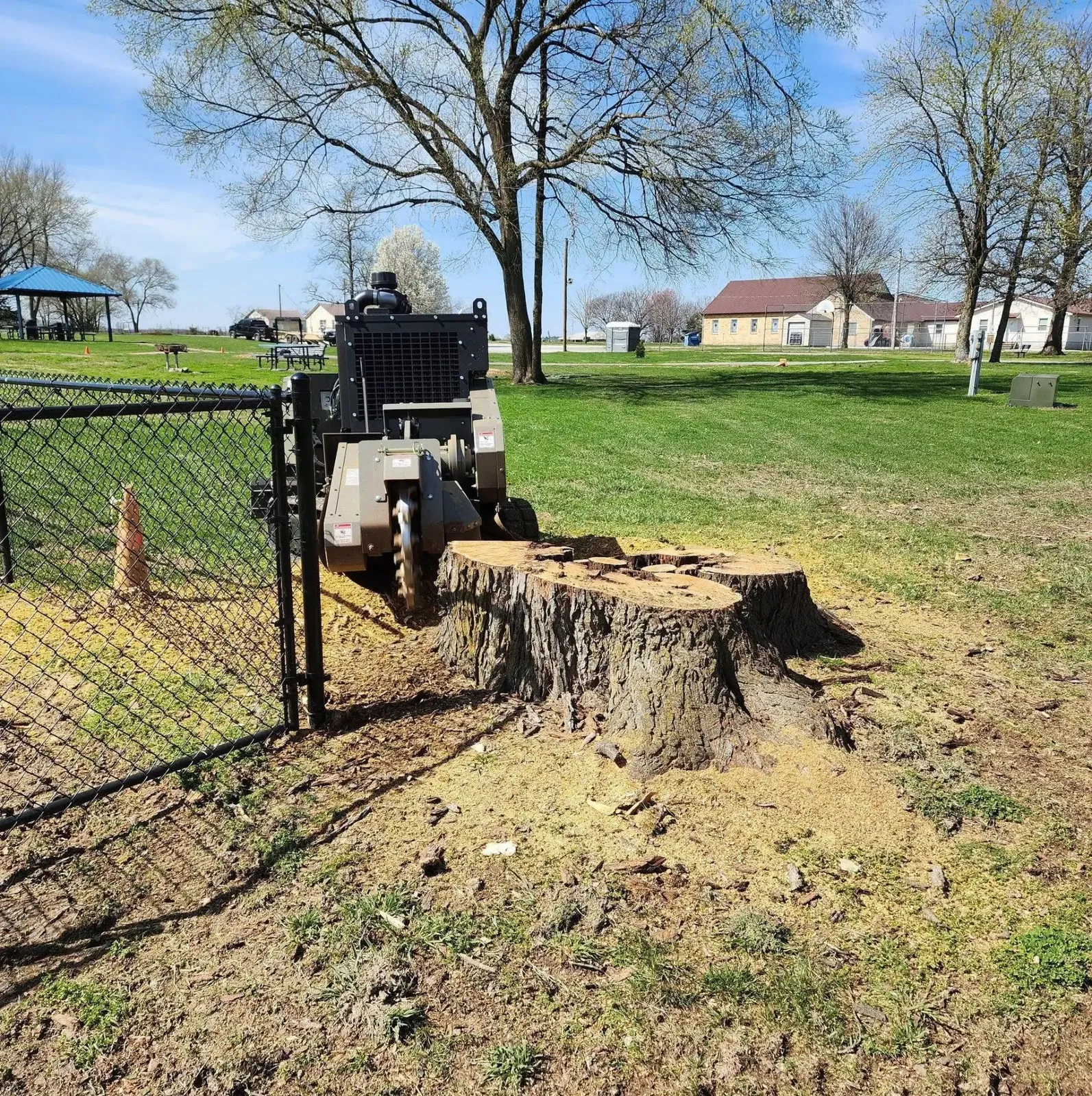 L&M grinding equipment beside a large stump near a chain-link fence